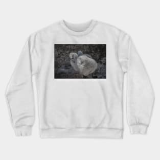 823 baby flamingo Crewneck Sweatshirt